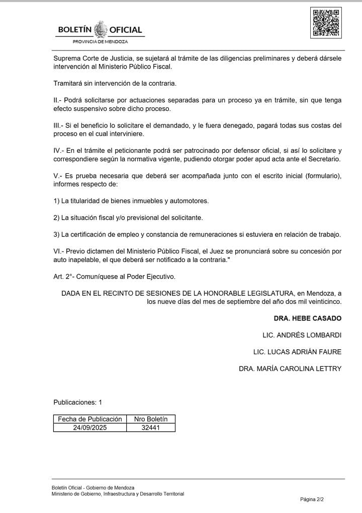 LITIGAR SIN GASTOS 2